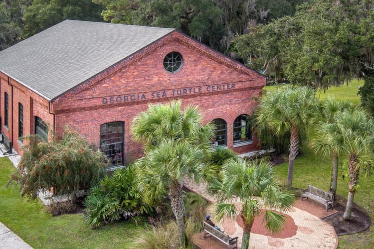 Georgia Sea Turtle Center exterior